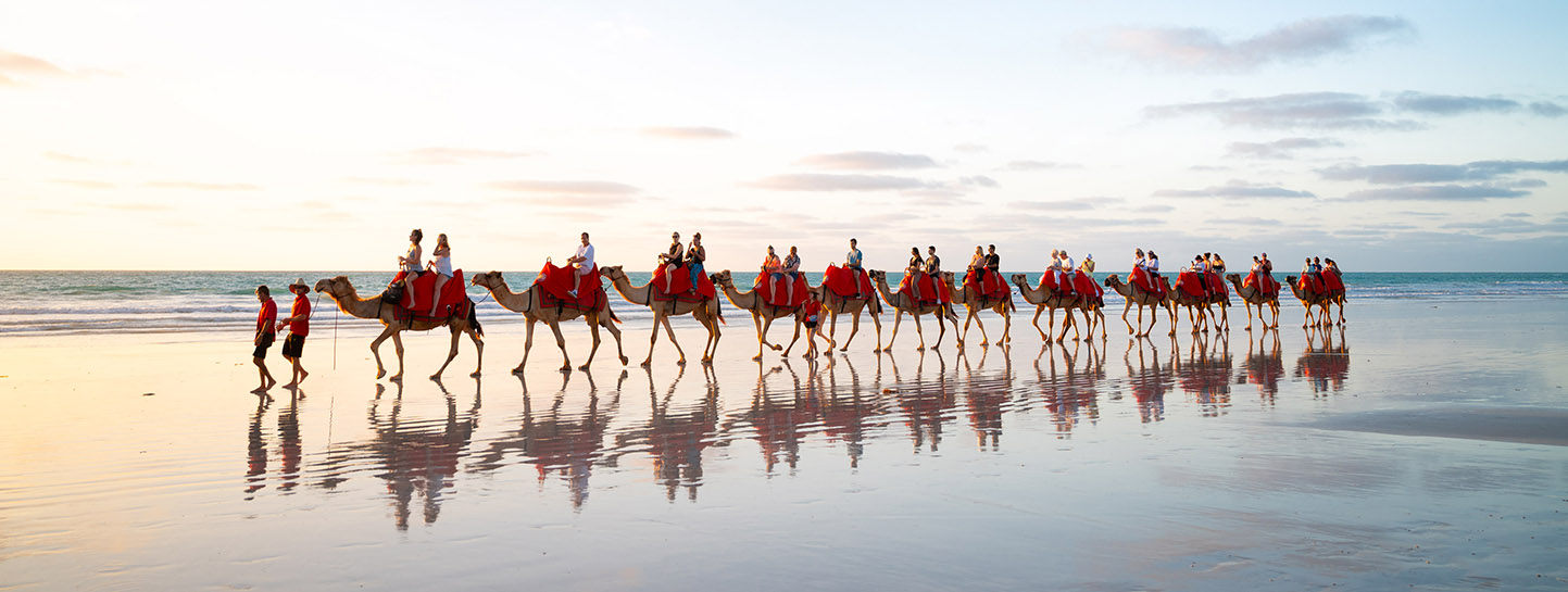 https://cdn.oem-production.subaru.com.au/media/031jkuta/camels-walking-on-the-beach-at-dusk_1443x545px.jpg