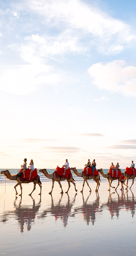 https://cdn.oem-production.subaru.com.au/media/0qnhhokk/camels-walking-on-the-beach-at-dusk_450x846px.jpg