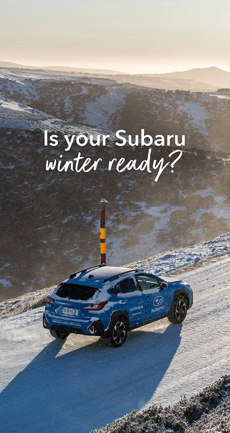 https://cdn.oem-production.subaru.com.au/media/51ogunrw/safe-snow-driving-tips-450x846px.webp