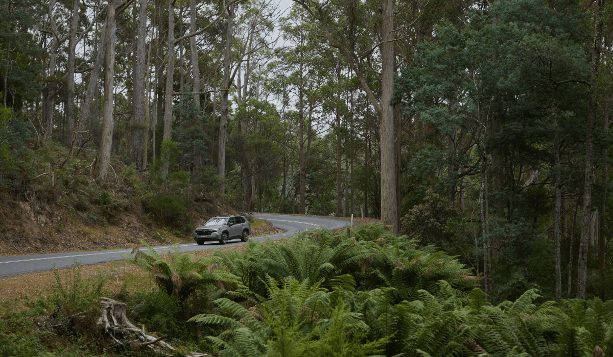 https://cdn.oem-production.subaru.com.au/media/dstd4v1j/molly-forester-review-header-1200x700.png