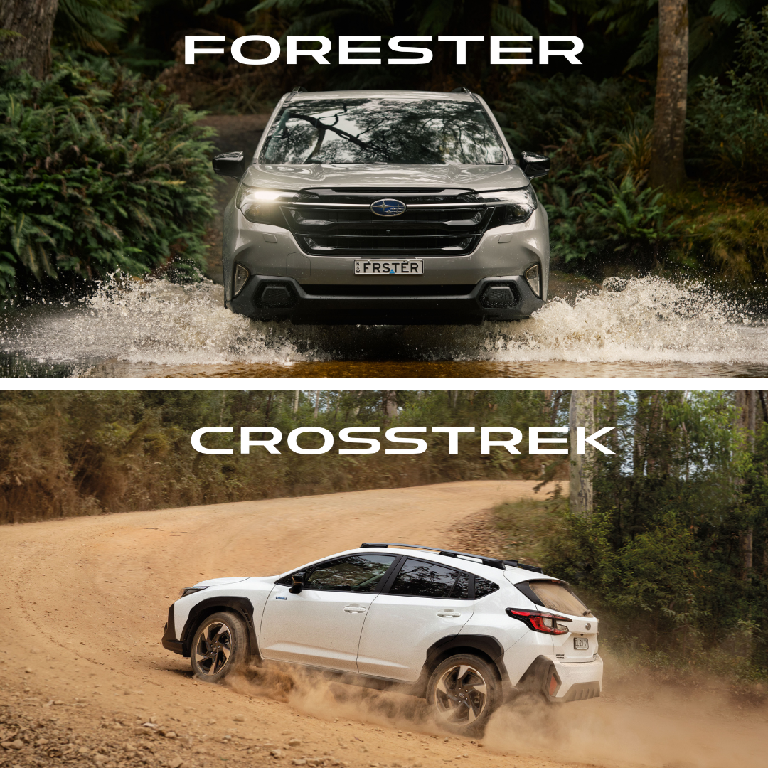 https://cdn.oem-production.subaru.com.au/media/f3ggdipo/crosstrek-vs-forester-1080x1080px.png