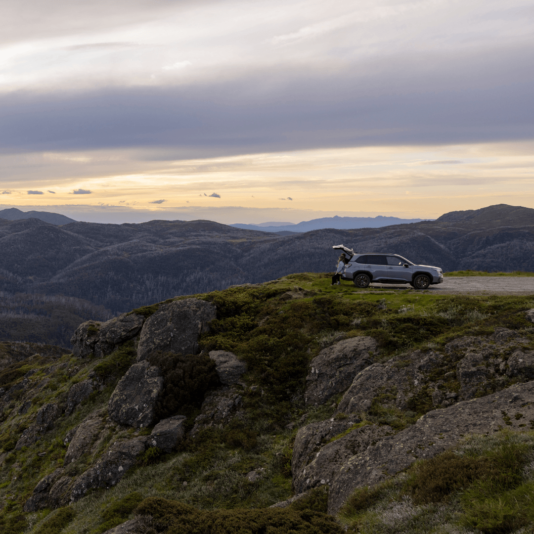https://cdn.oem-production.subaru.com.au/media/guokekzk/buy-online-v2-header-1080px.png