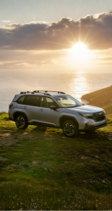 https://cdn.oem-production.subaru.com.au/media/gwqk50m0/new-hybrid-landing-page-header-450x846.png
