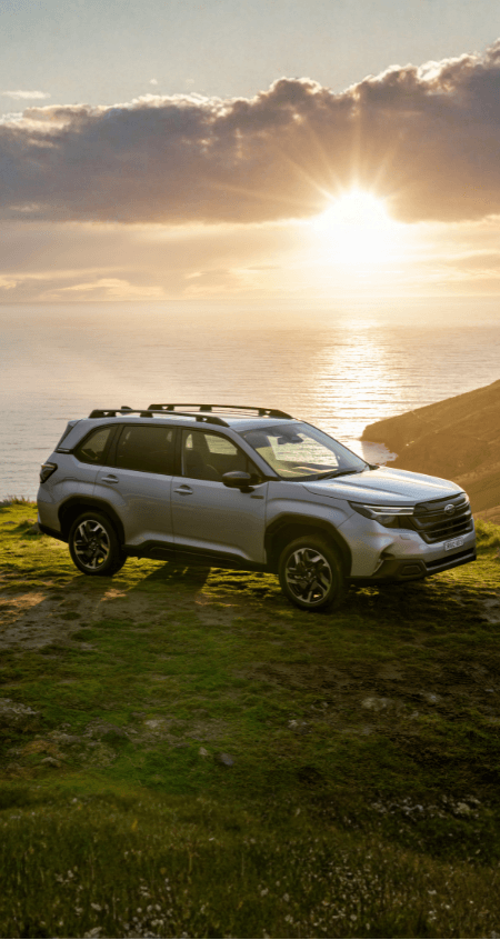 https://cdn.oem-production.subaru.com.au/media/nupfme32/new-hybrid-landing-page-header-450x846.png