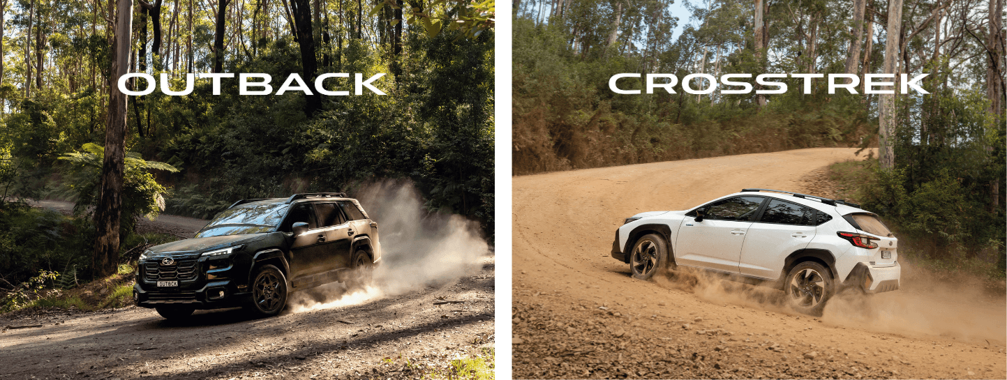 https://cdn.oem-production.subaru.com.au/media/o40dwmyz/outback-vs-crosstrek-1443x545.png