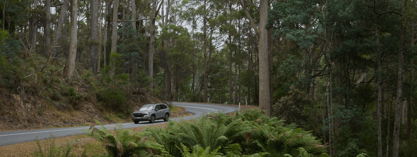 https://cdn.oem-production.subaru.com.au/media/reijhv2z/molly-forester-review-header-1443x545.png