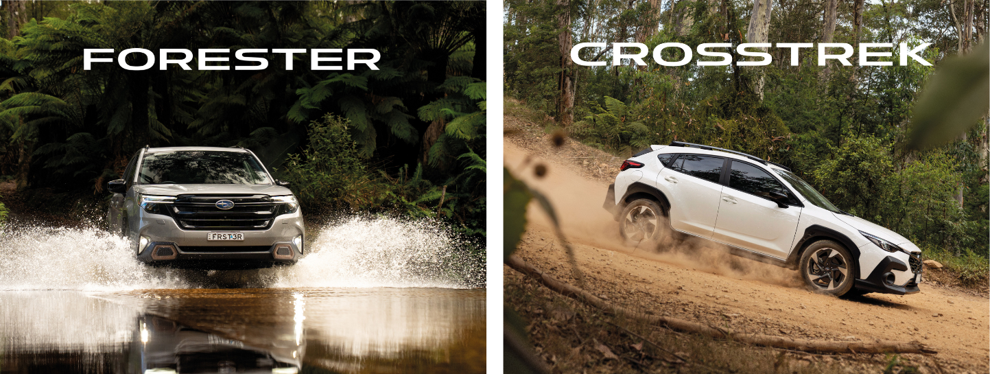https://cdn.oem-production.subaru.com.au/media/voffhmsq/crosstrek-vs-forester-1443x545px.png