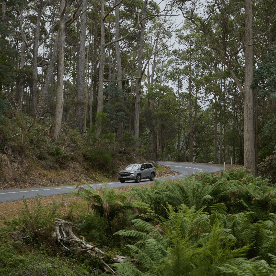 https://cdn.oem-production.subaru.com.au/media/xwtf3nci/molly-forester-review-header-1080x1080.png