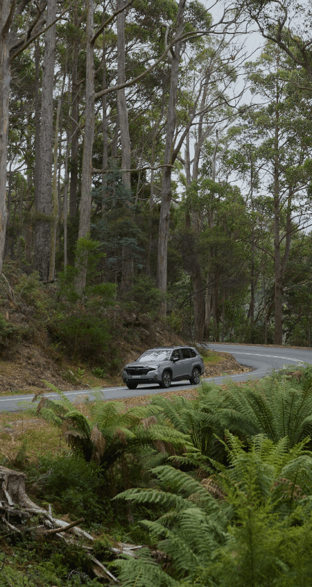 https://cdn.oem-production.subaru.com.au/media/yesftbqa/molly-forester-review-header-450x846.png