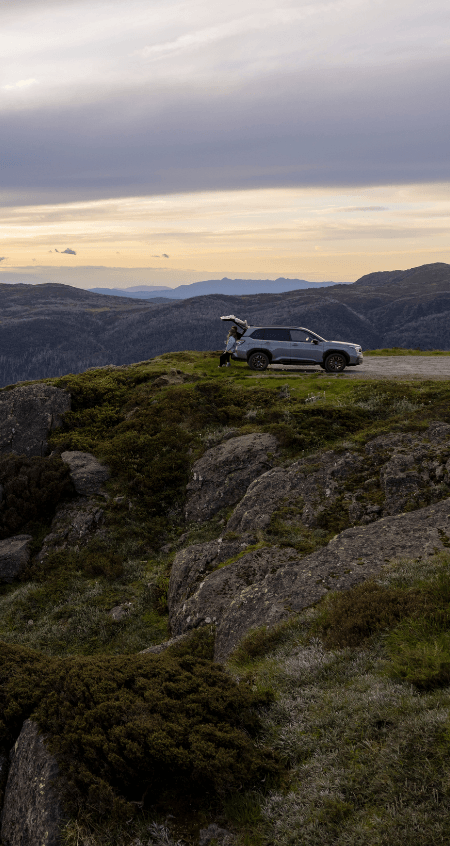 https://cdn.oem-production.subaru.com.au/media/ykmny3ey/buy-online-v2-header-450x846px.png
